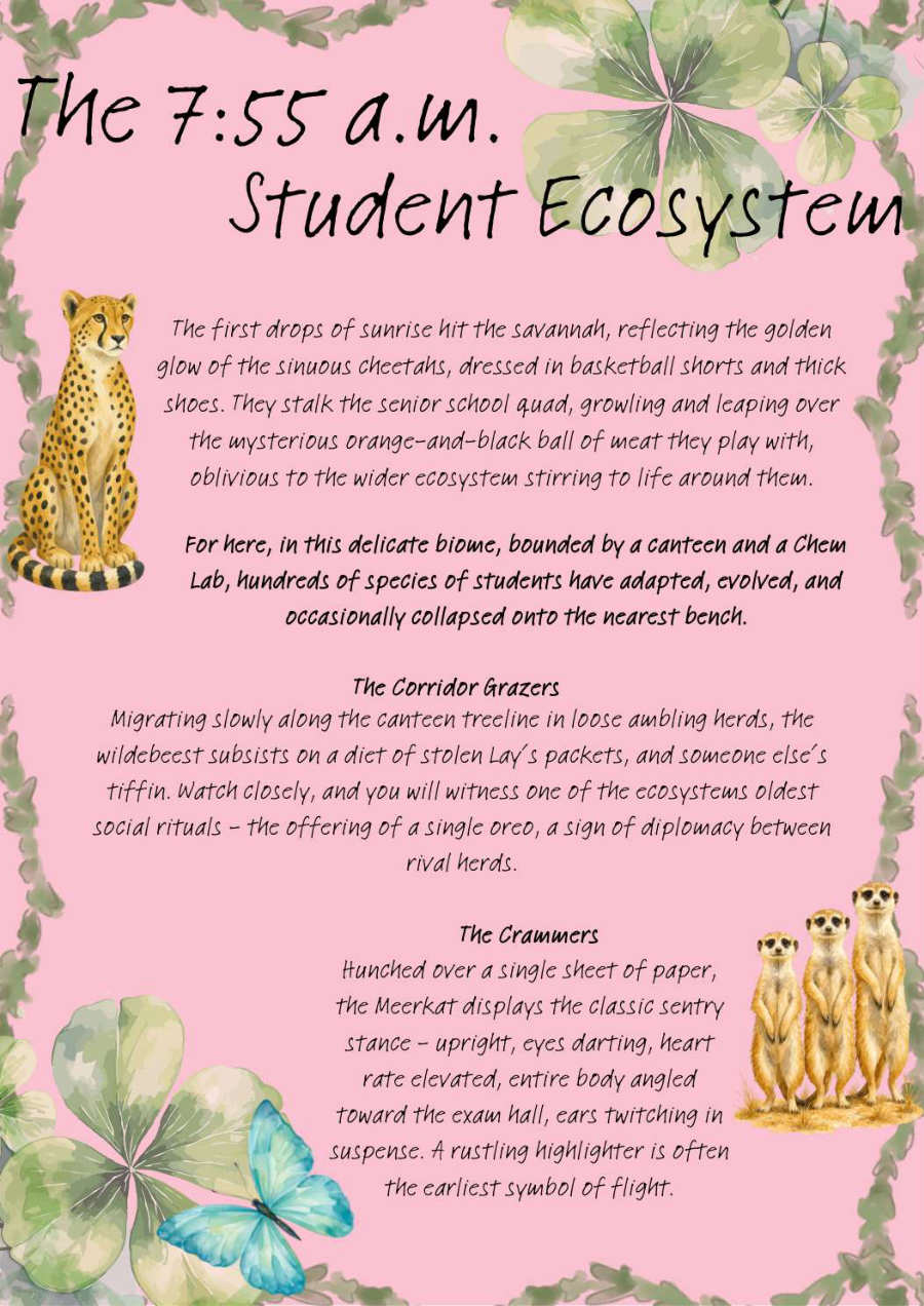 Cathedral News, October edition, page 7